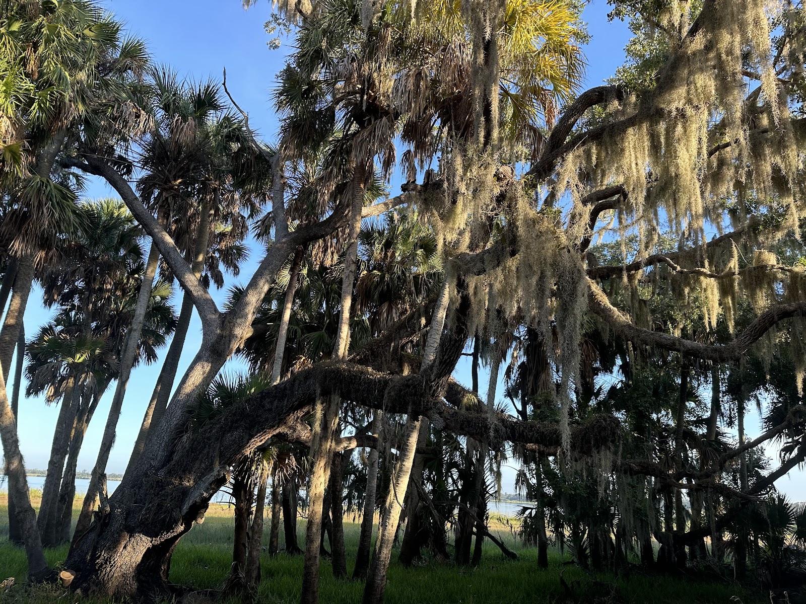 Big Flats Campground