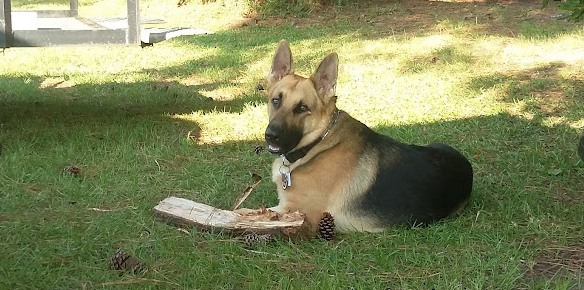 Adventure Bound Campground