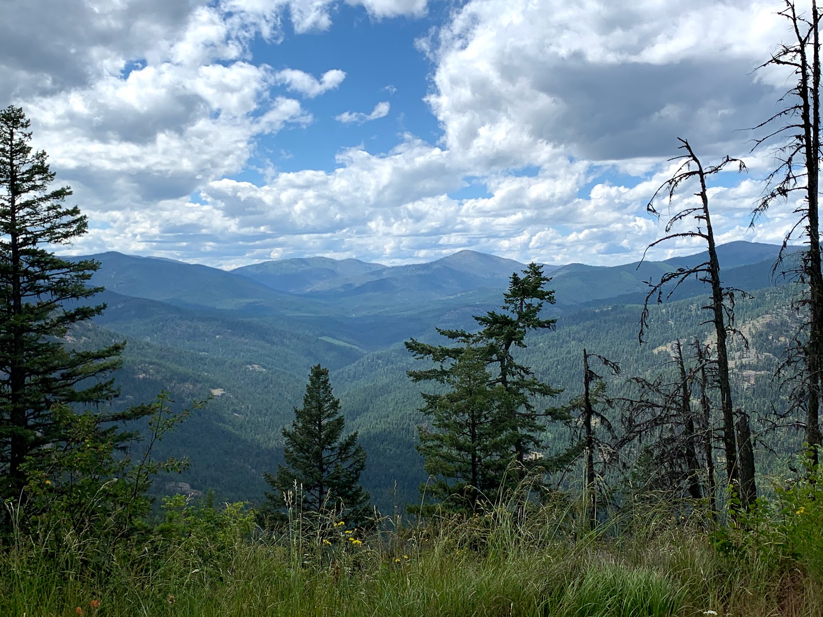 Davis Lake Campground