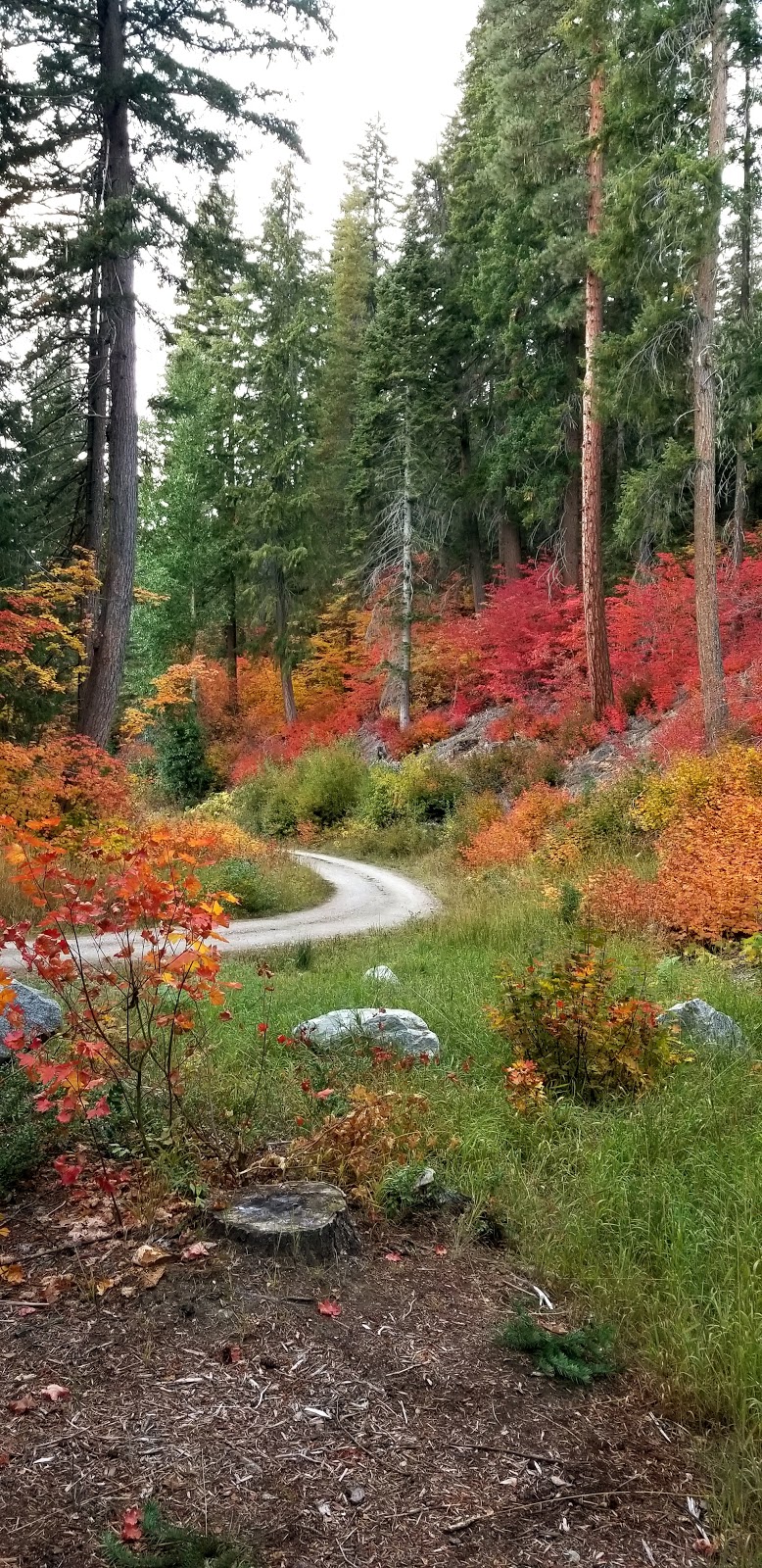 Meadow Creek Campground