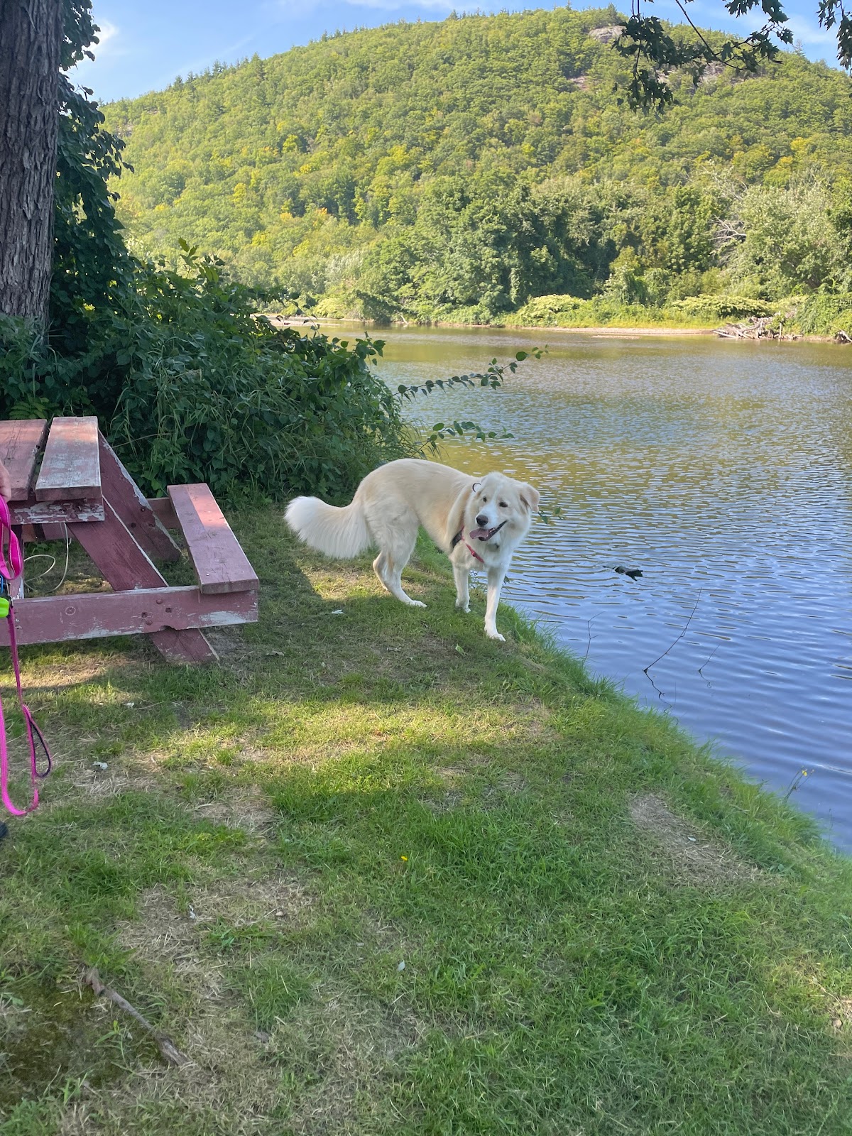 White Birches Camping Park