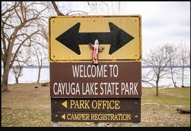 West Side - Cayuga Lake State Park
