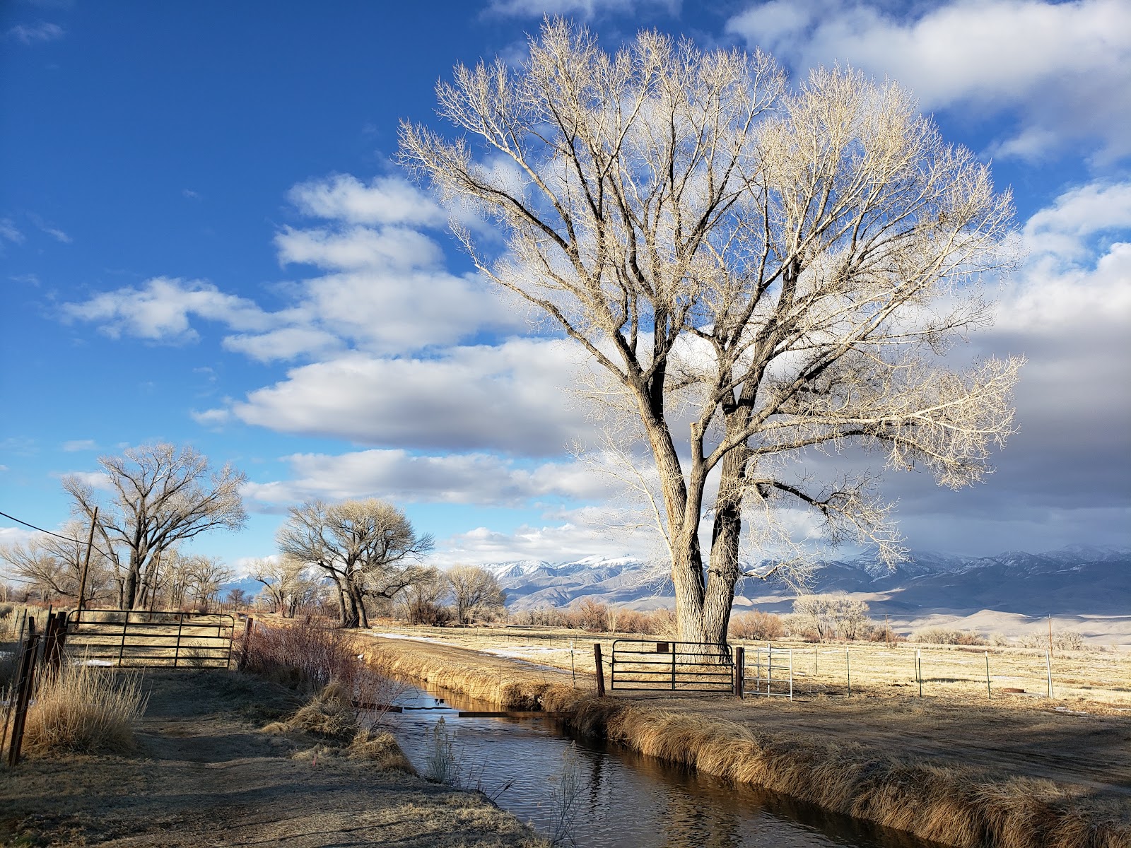 Shady Rest Trailer Park
