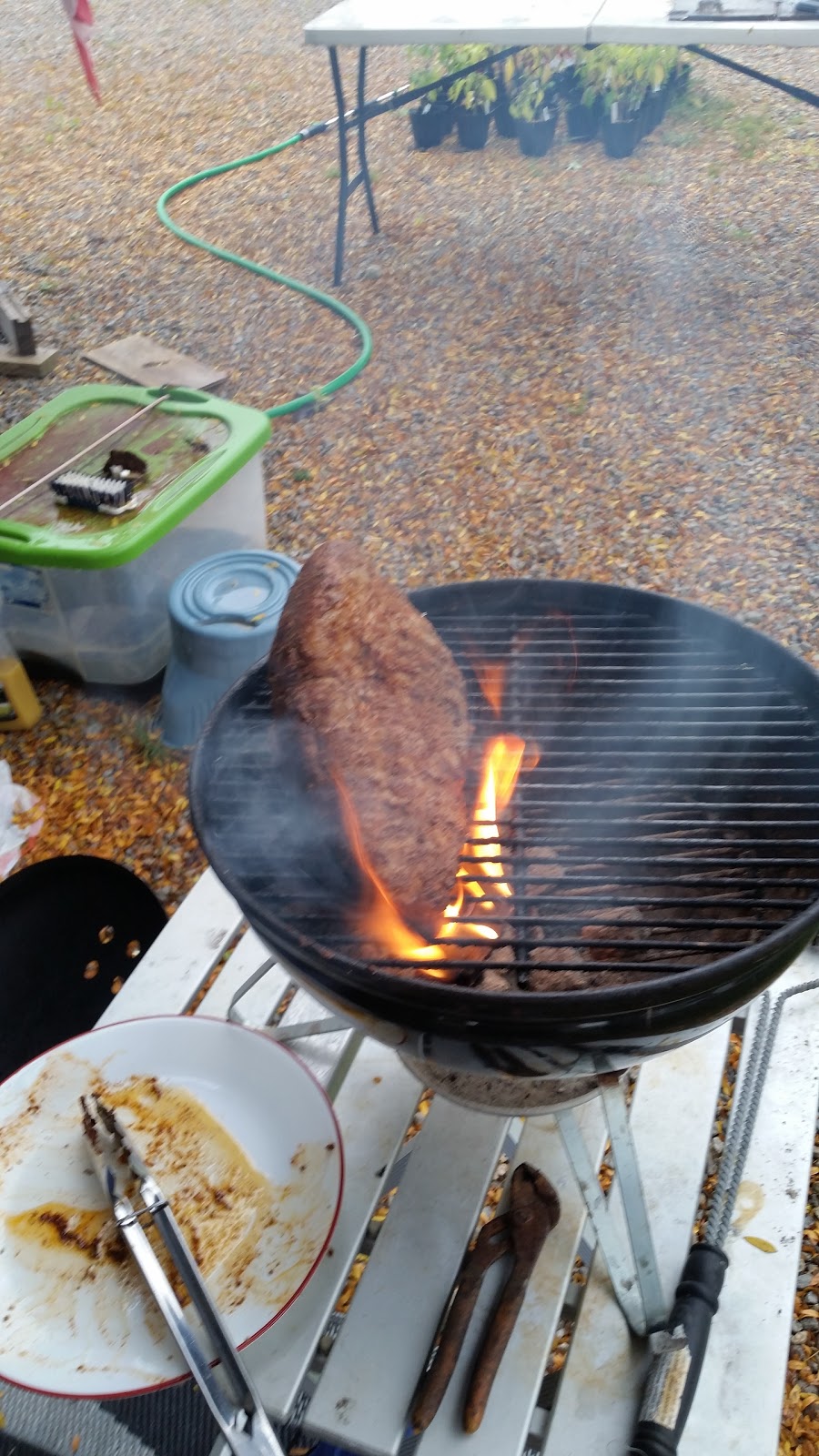 Mendenhall's Rv/Mobile Park