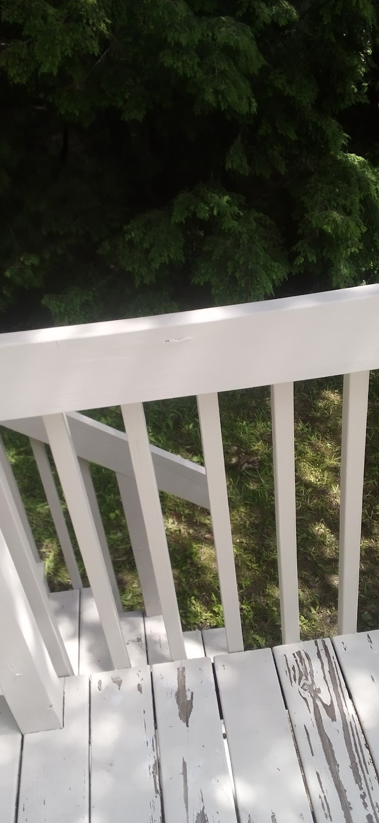 Mascoma Lake Campground