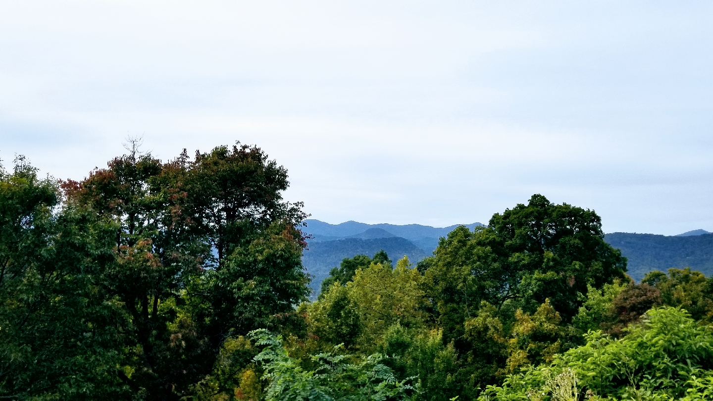 Mama Gertie's Hideaway Campground