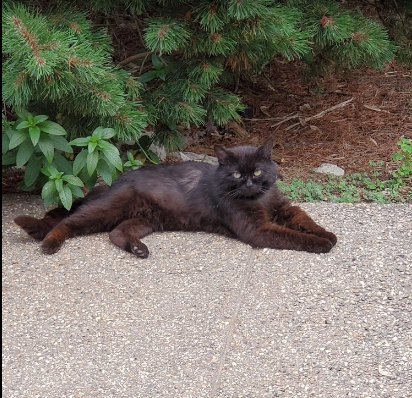 Mt. CarMerriel RV Park