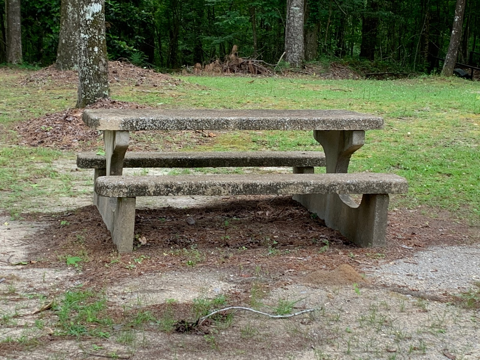 Bladon Springs County Park