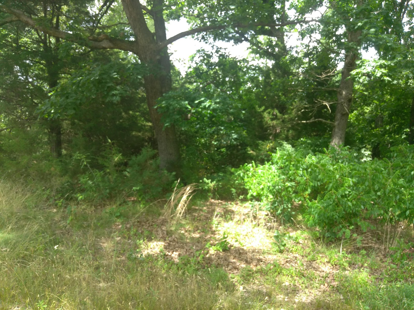 Dale Sare Conservation Area