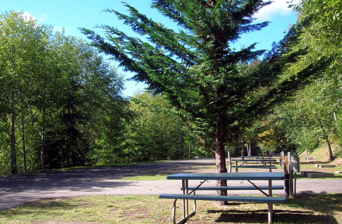 Shadow Mountain Campground RV Park