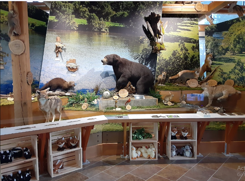 Shenandoah River State Park