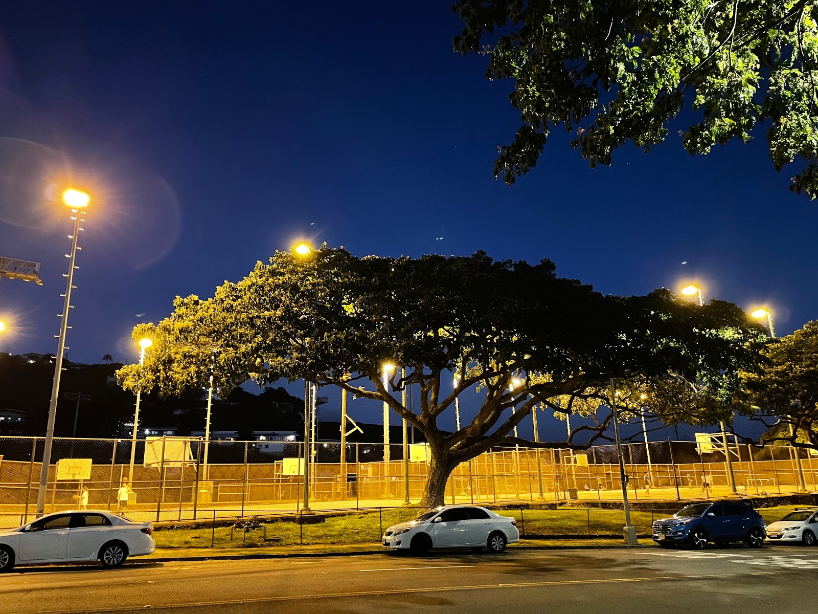 Wilson Community Park