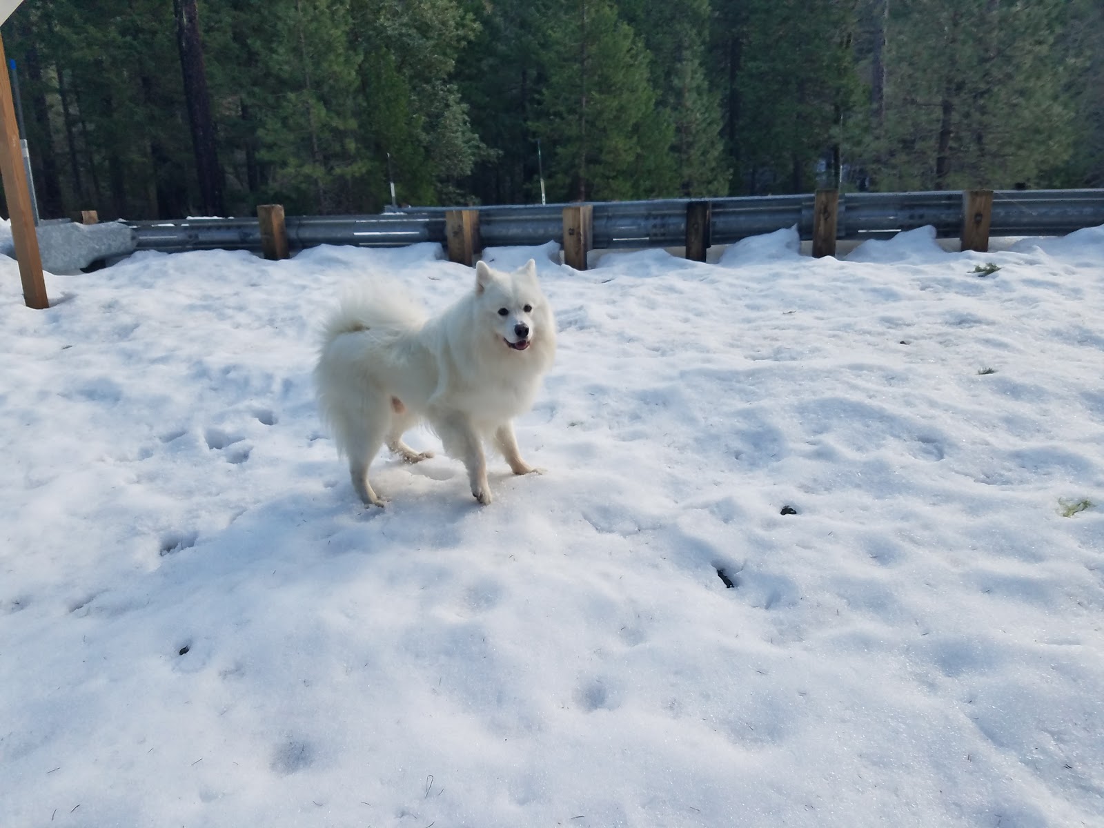 Forest Glen Campground