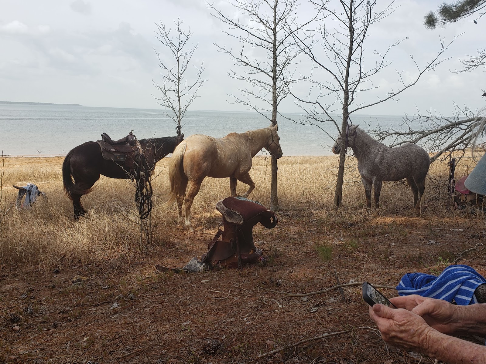 Double Heart Ranch & RV Park