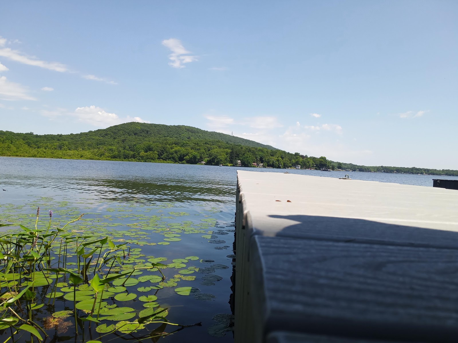 Cedar Ridge Campground, Montague, NJ