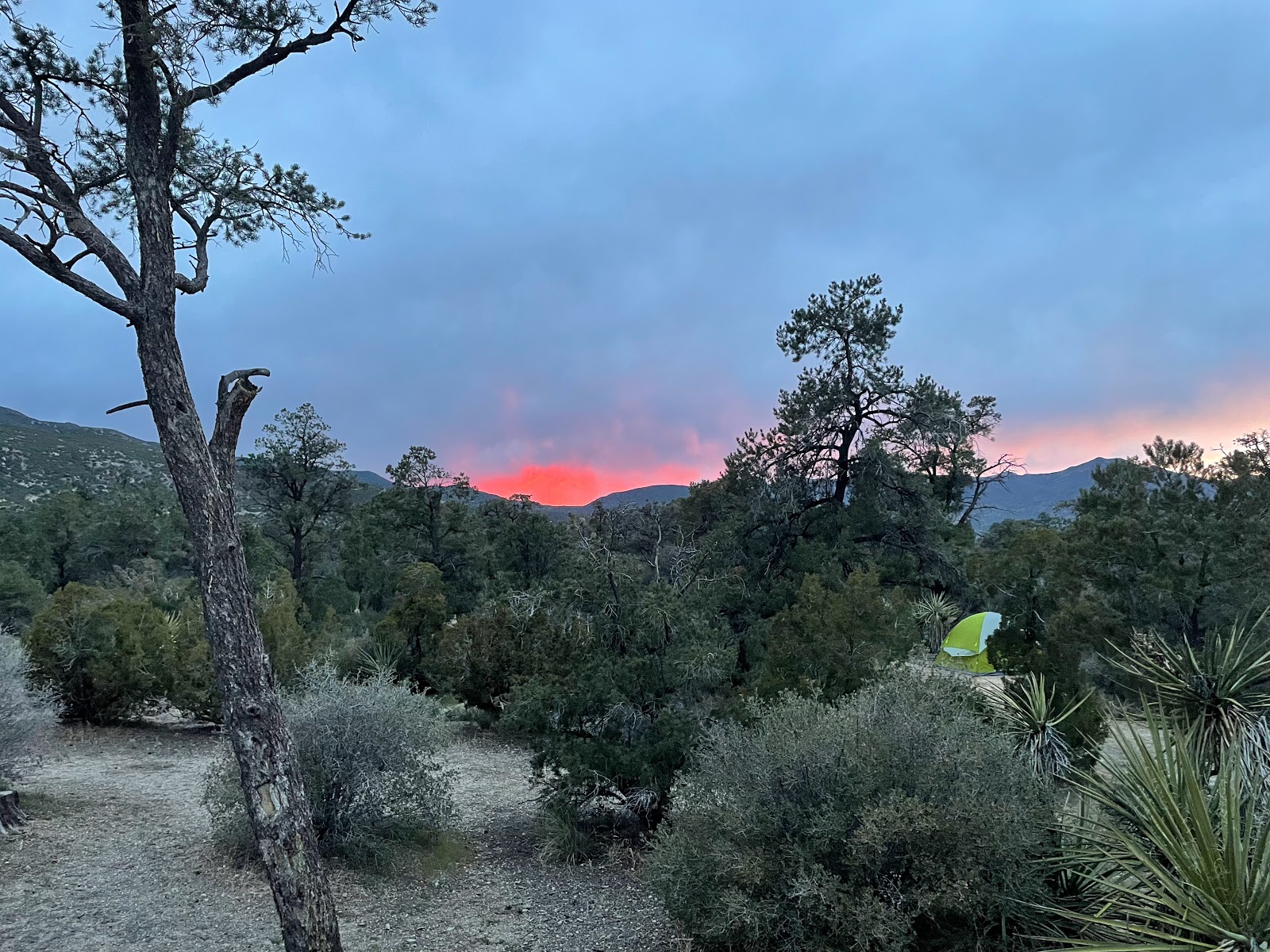 Pinyon Flat Campground