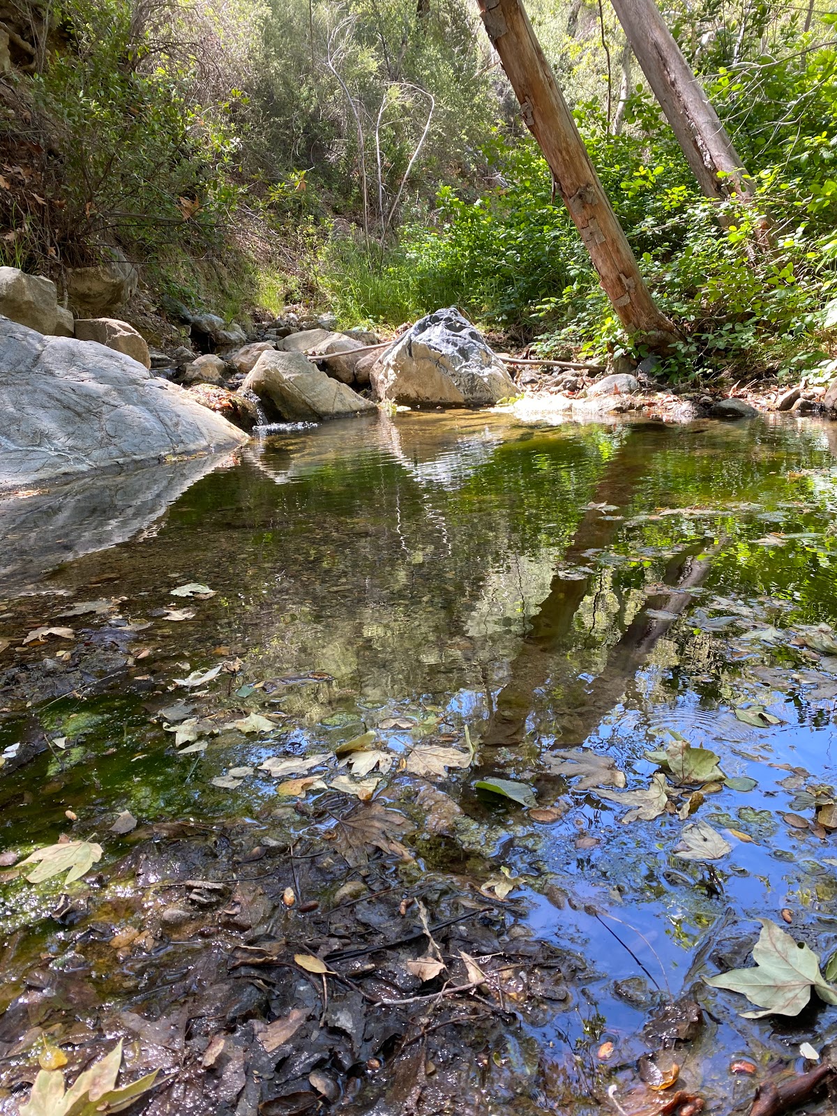 Davy Brown Campground