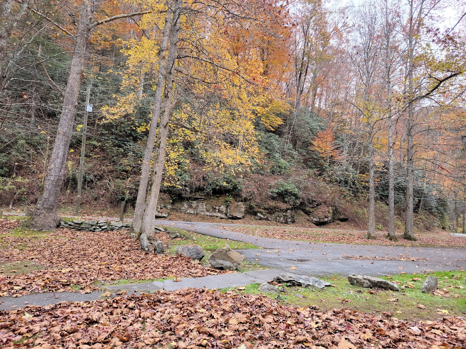 Panther Wildlife Management Area