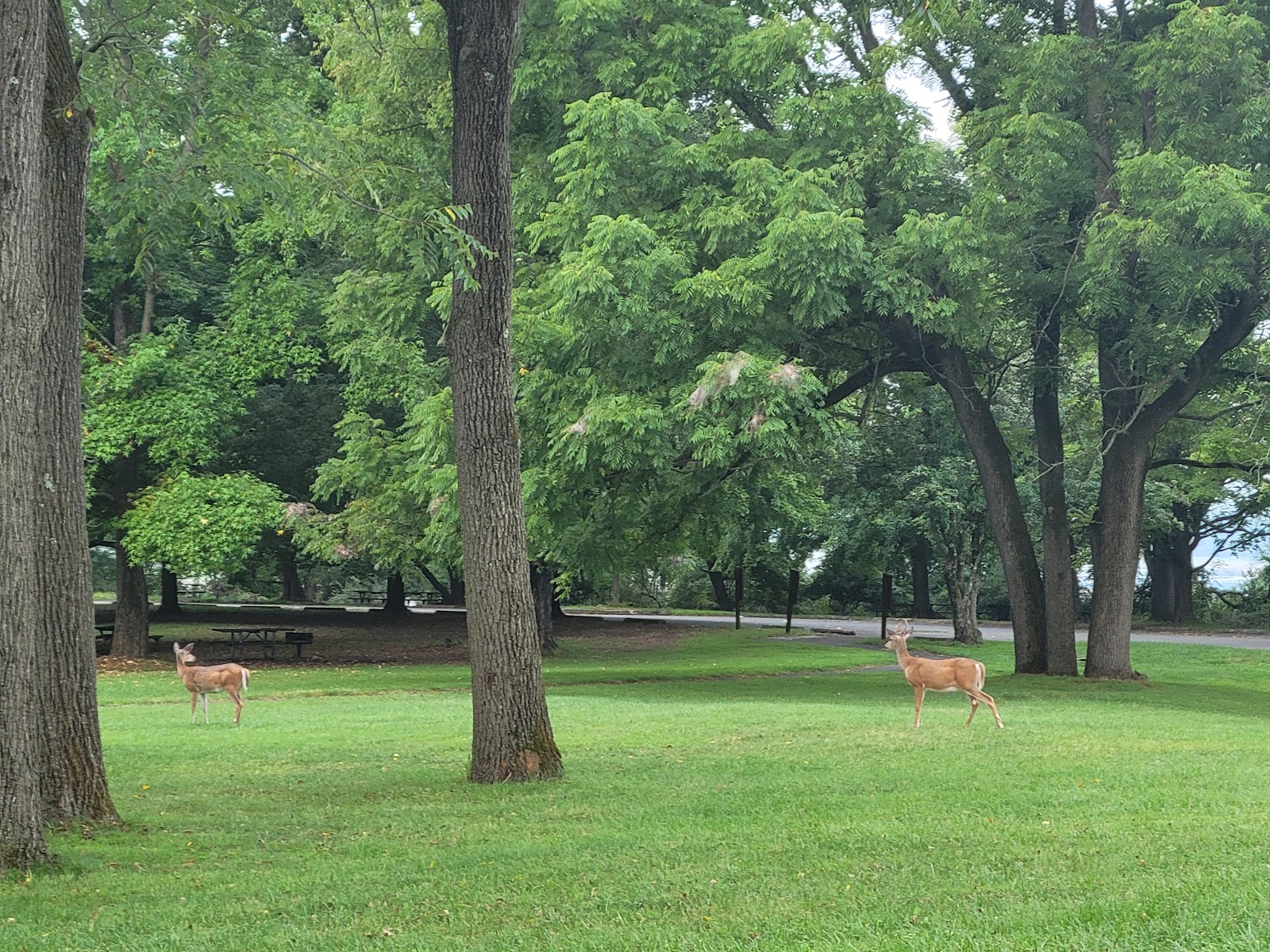 Spruce Run Recreation Area
