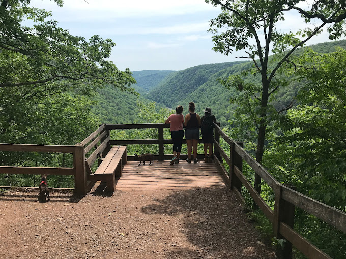 Twin Streams Campground