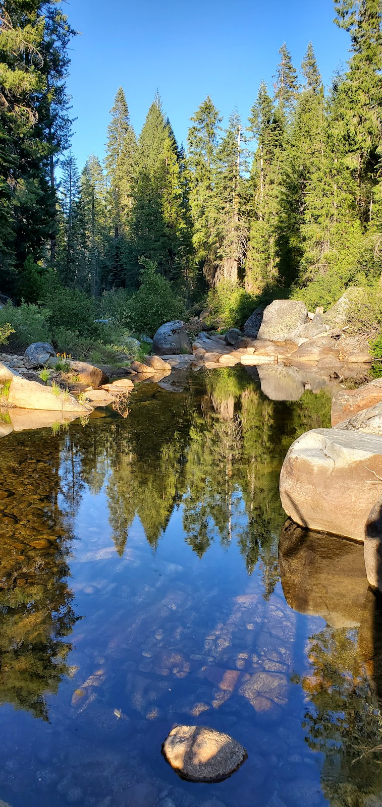 Azalea Cove Campground