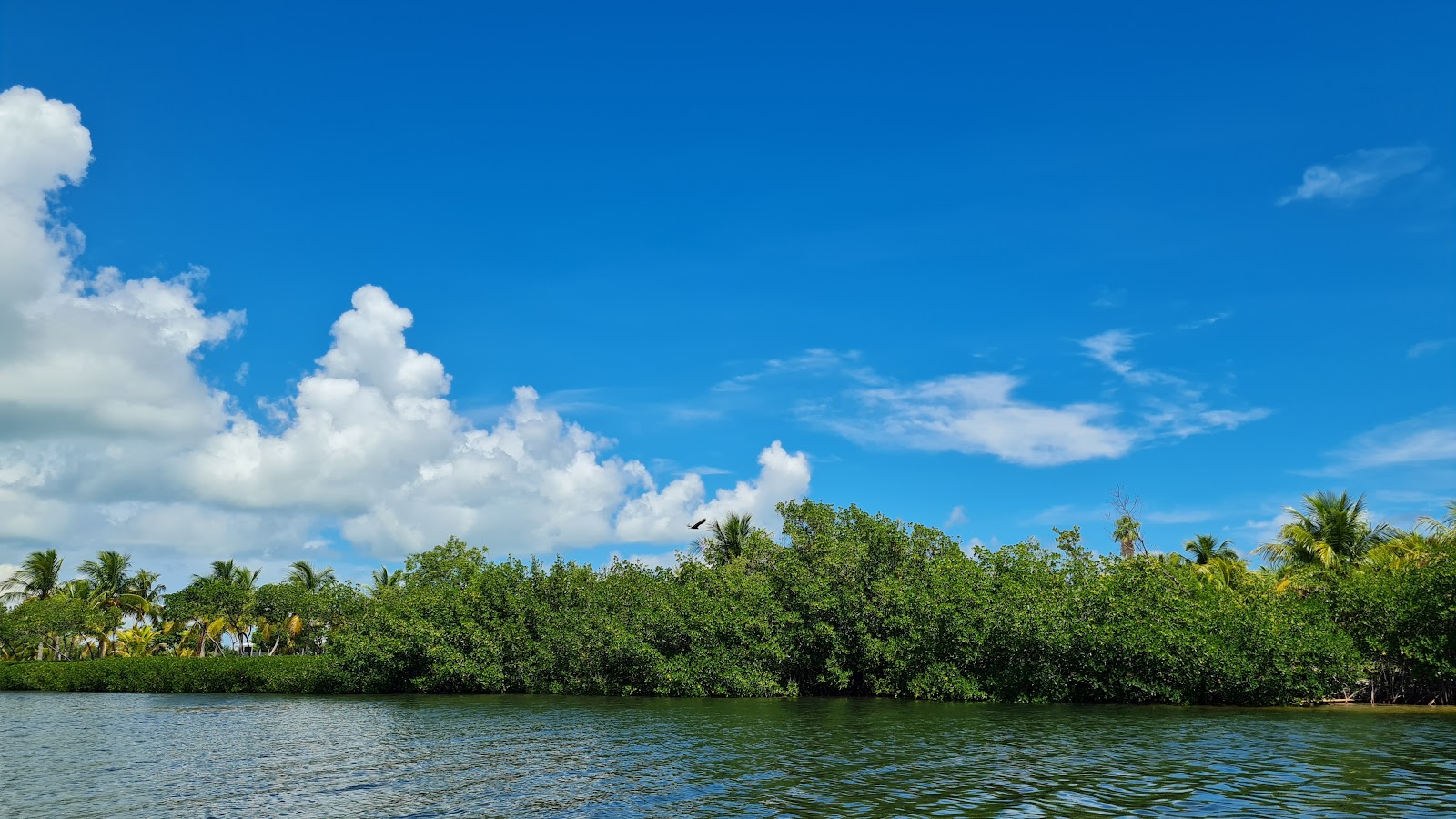 Curry Hammock State Park