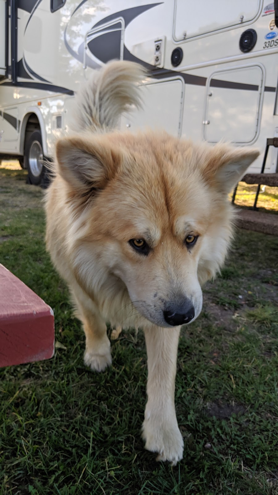 Sleeping Wolf Campground