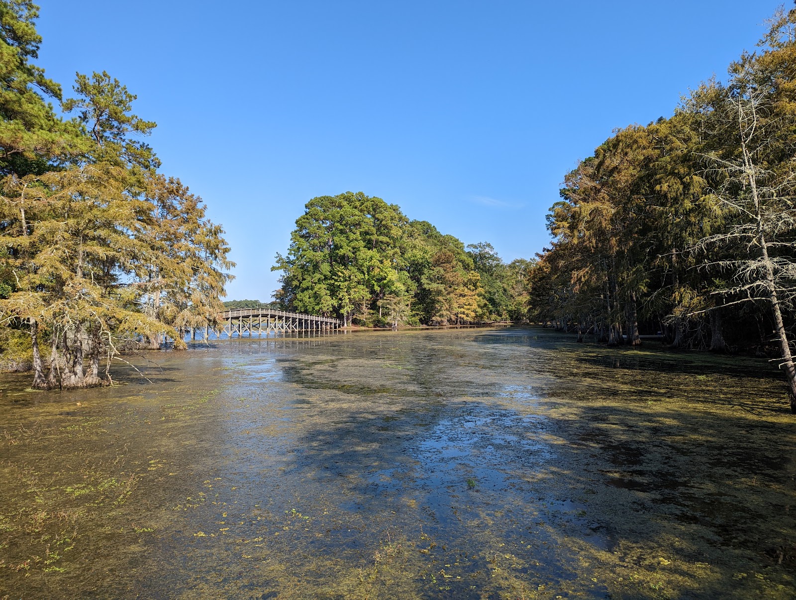 Martin Dies, Jr. State Park