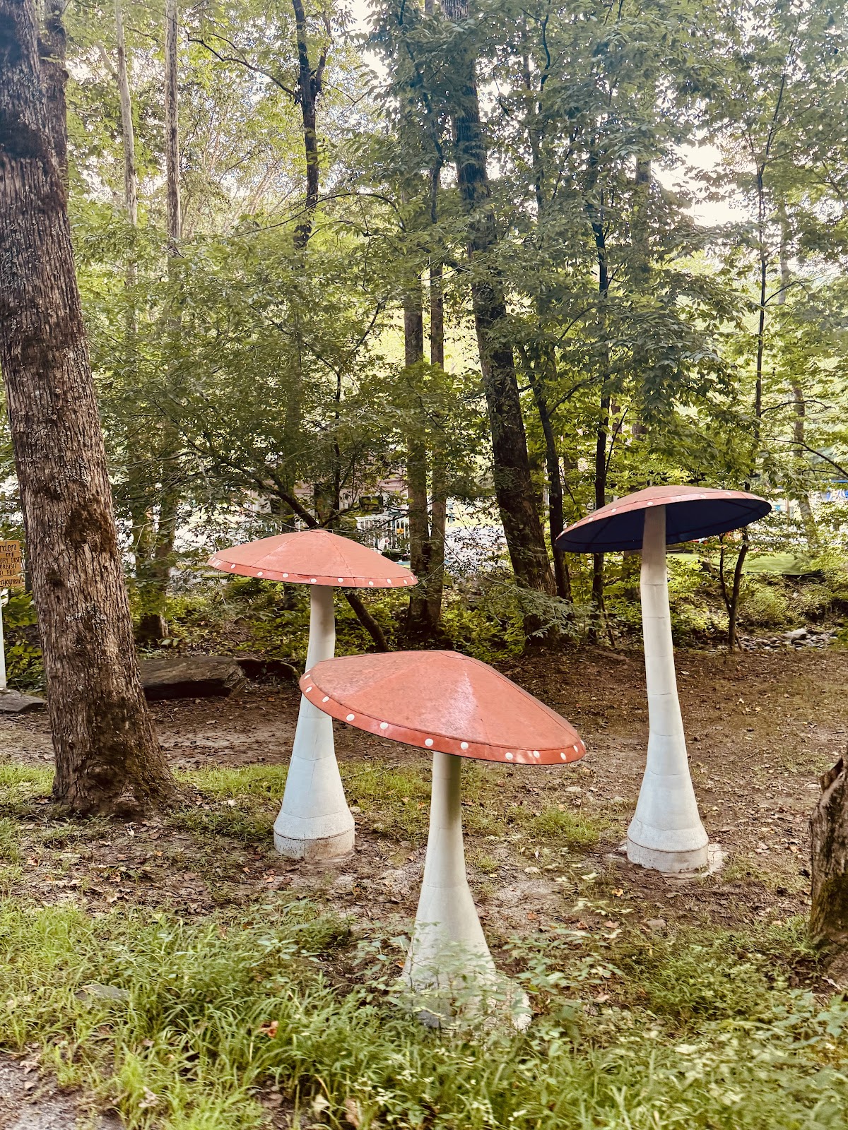 Tusquitee Campground and Cabins