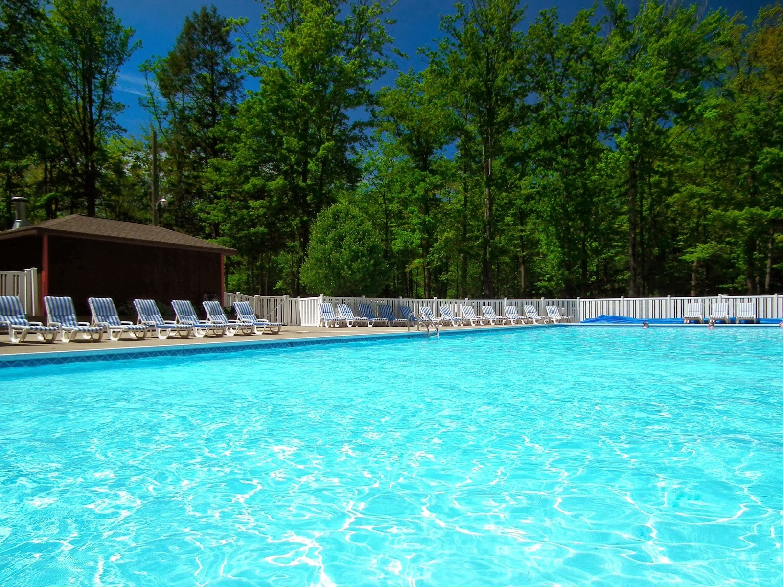 Yogi Bear's Jellystone Park