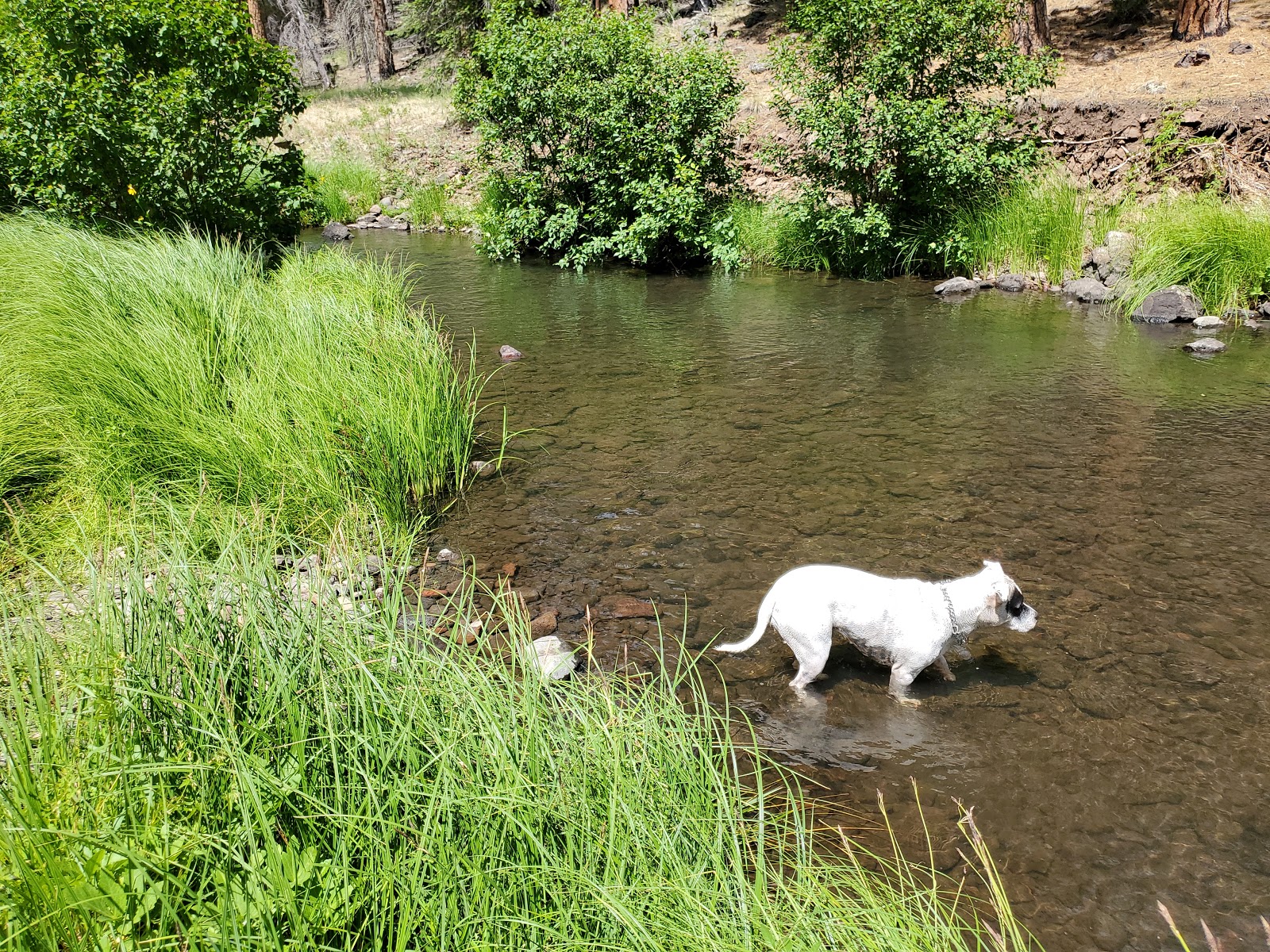 Horse Springs Campground