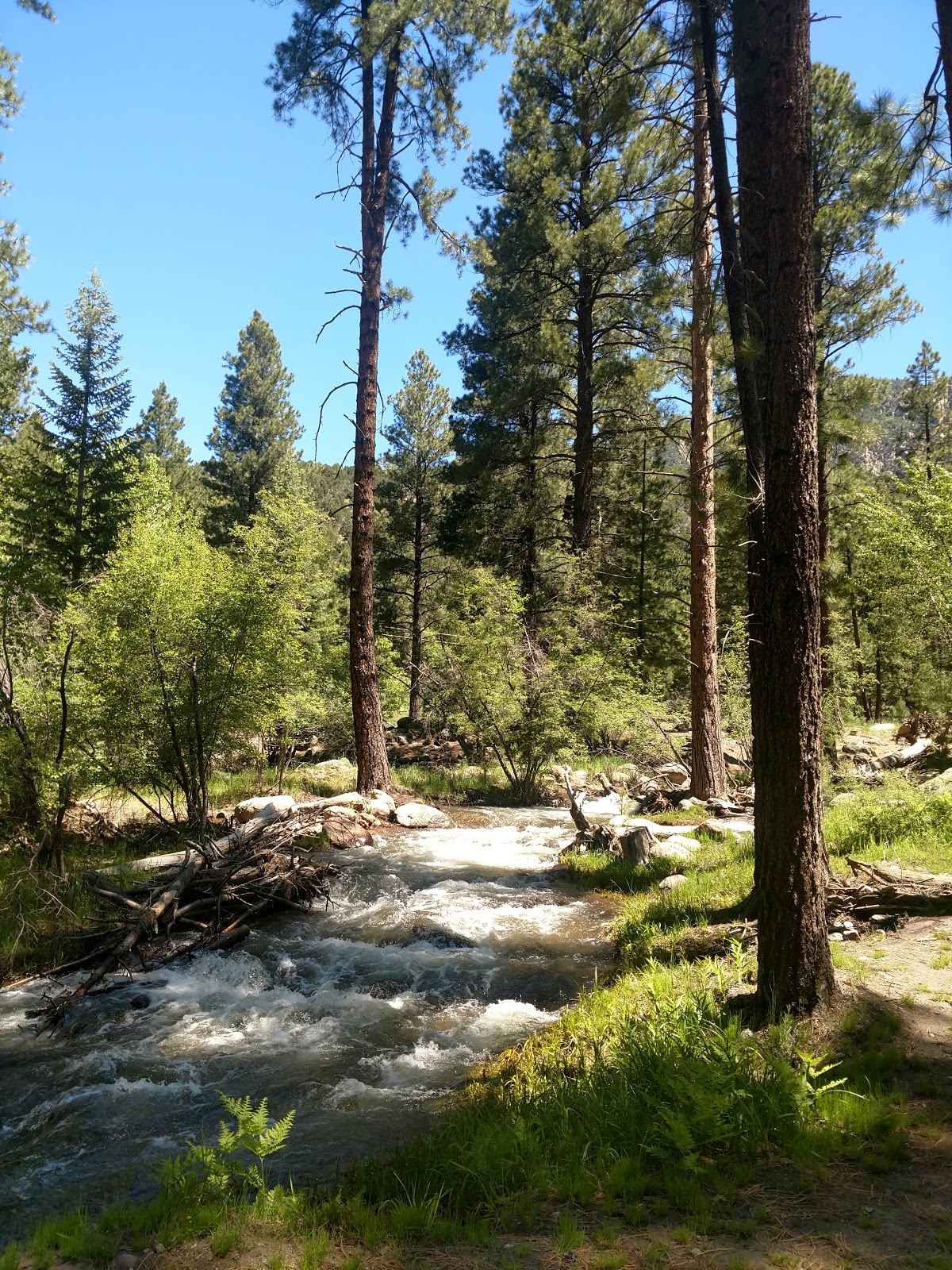 Pine Valley Equestrian Campground