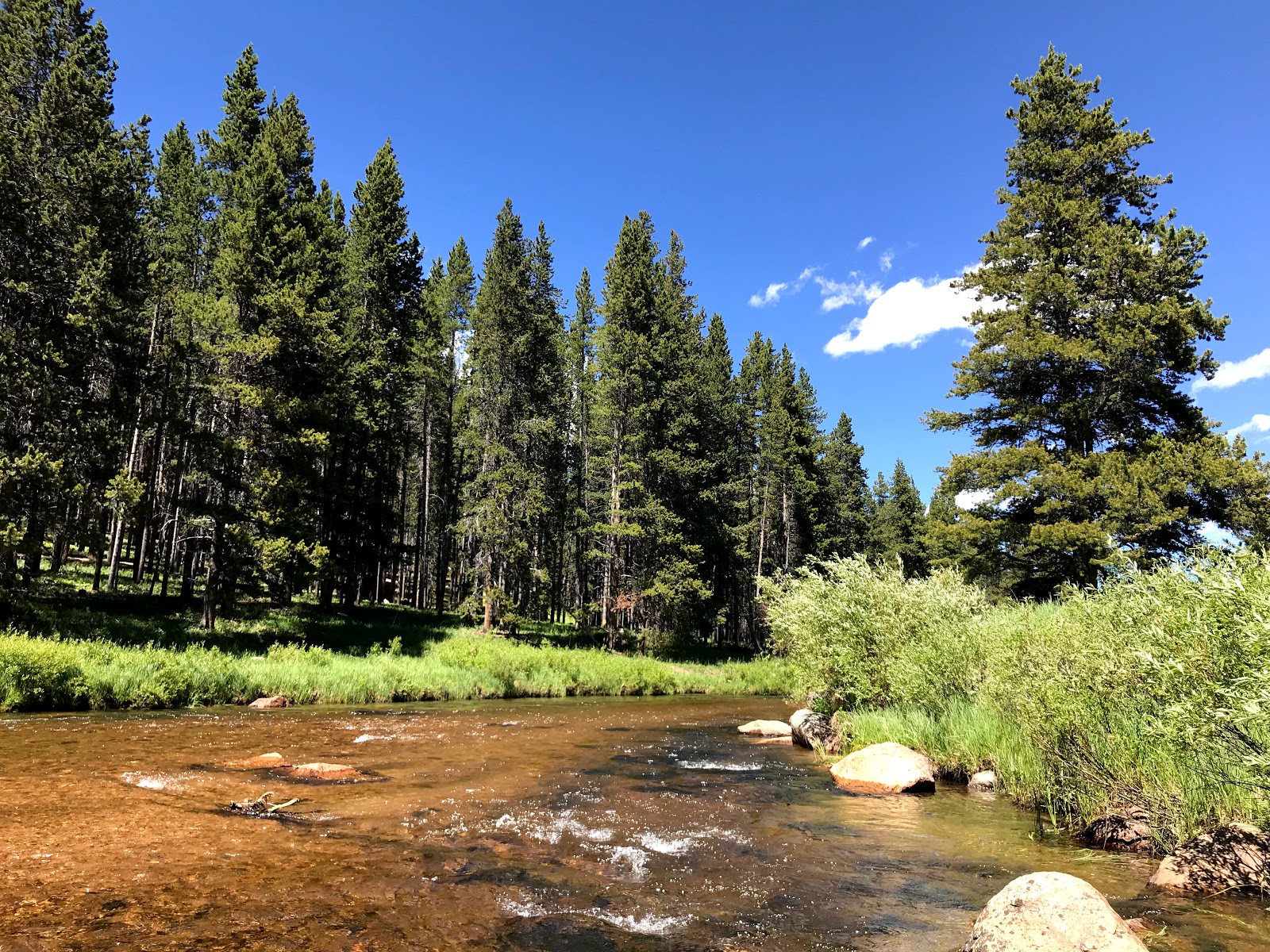 Pine Island Group Campground