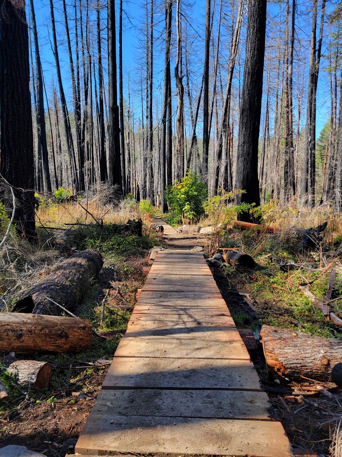 Alder Flat Campground