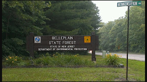 Belleplain State Forest