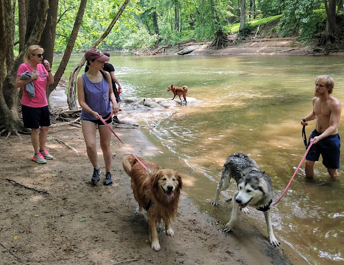 Patapsco Valley State Park- McKeldin Area