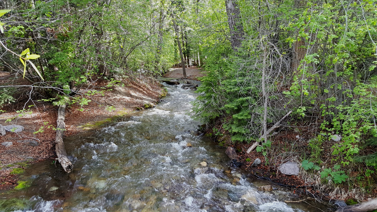 Columbine Campground