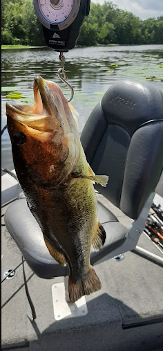 Beard'S Bluff Park (AR)