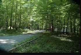 Elizabeth Furnace Campground