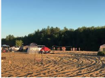 Fiddlehead Campground