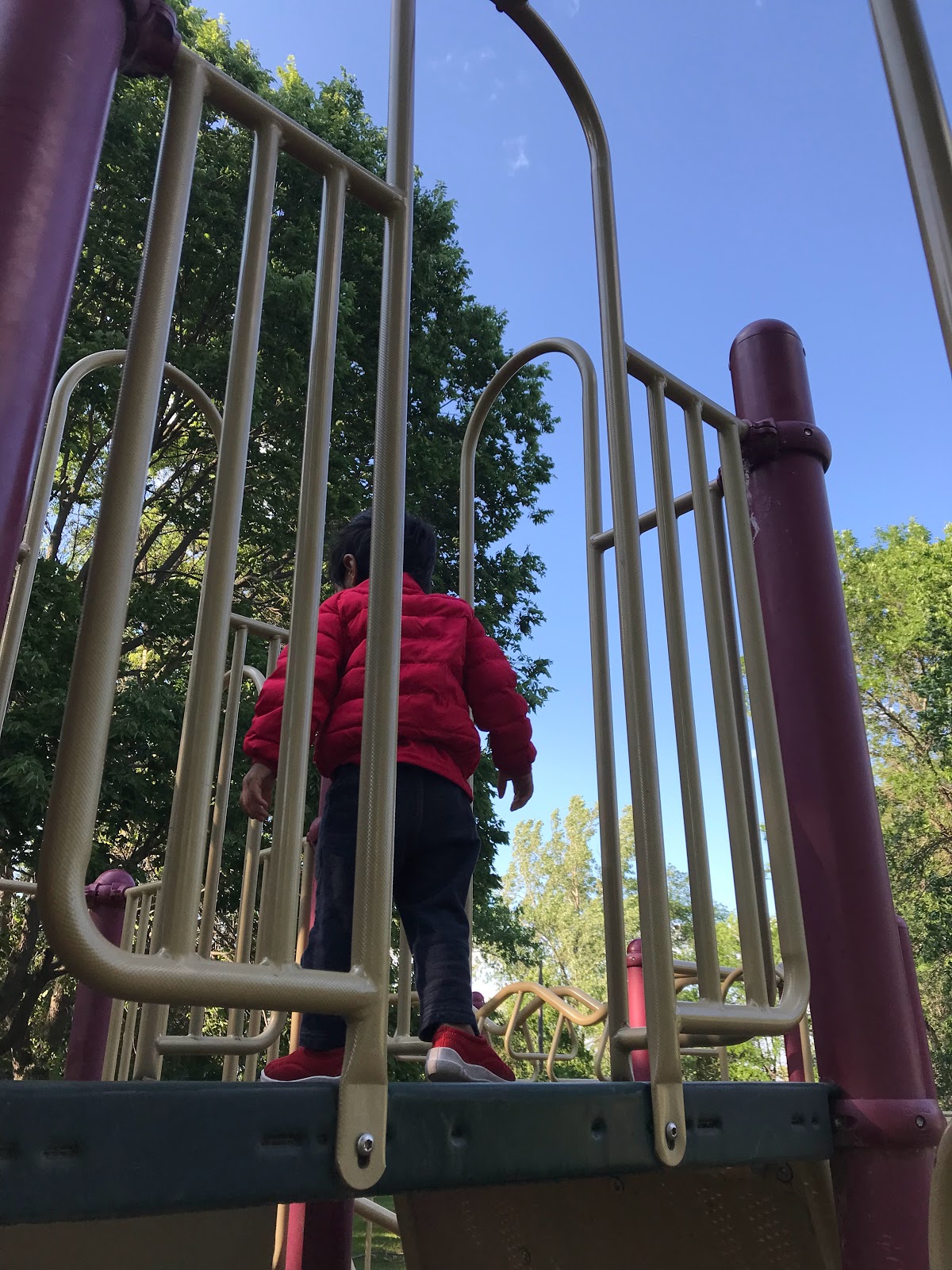 Campground 1 - Lake Poinsett SRA