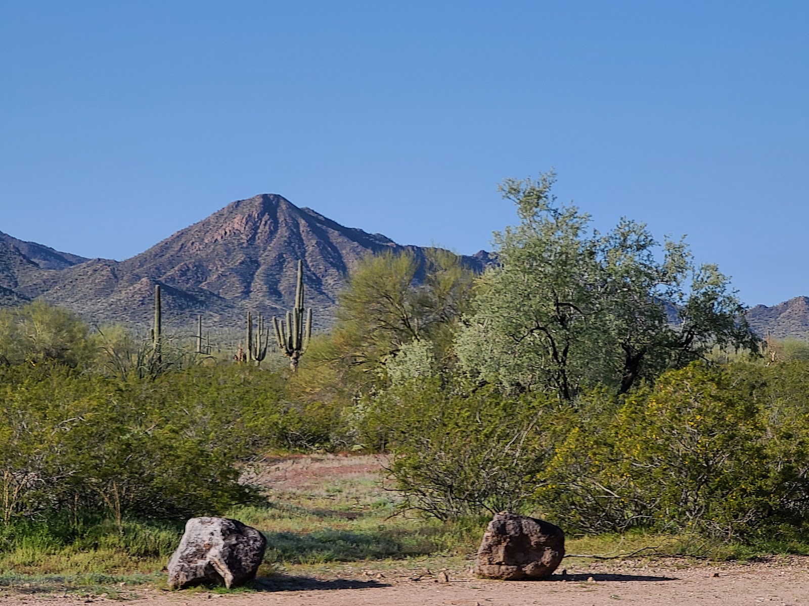 Pinal County West Pinal Park