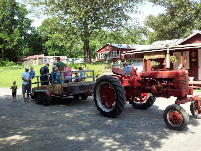 Brook-N-Wood Family CG