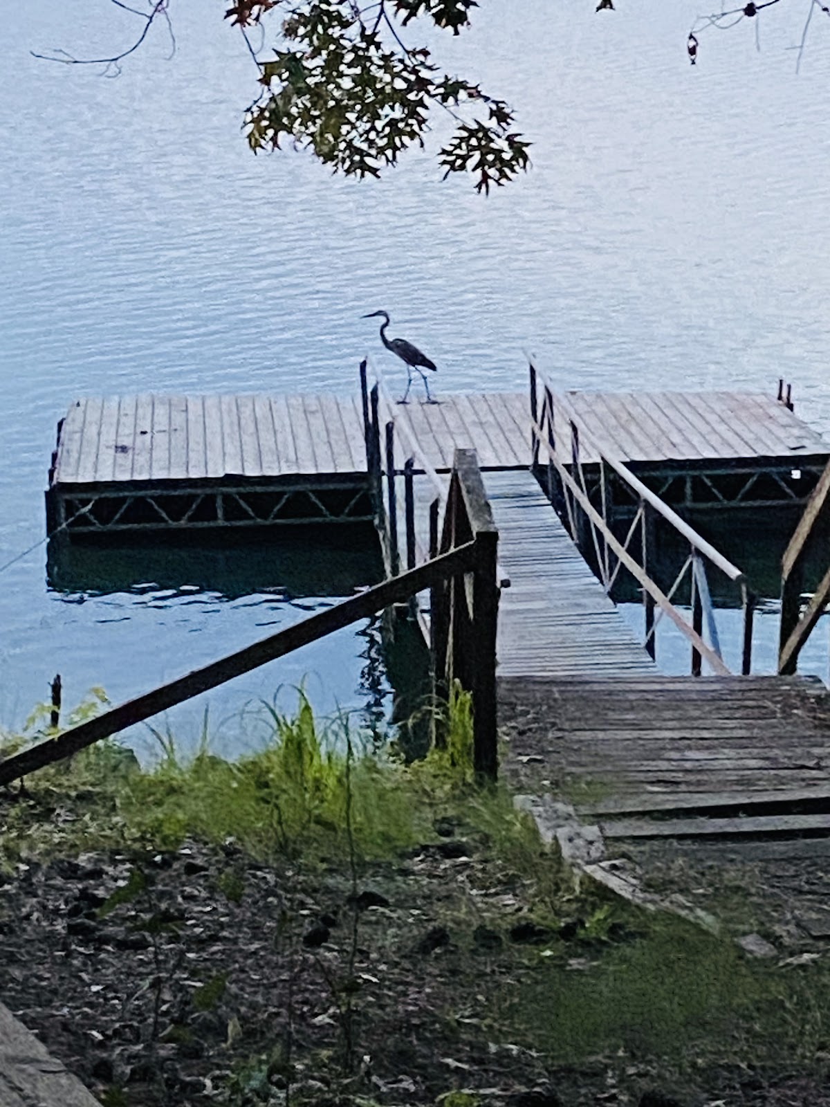Bobby Brown State Outdoor Recreation Area