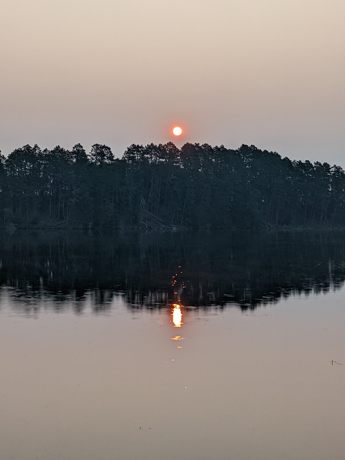 Chase Point - Scenic State Park