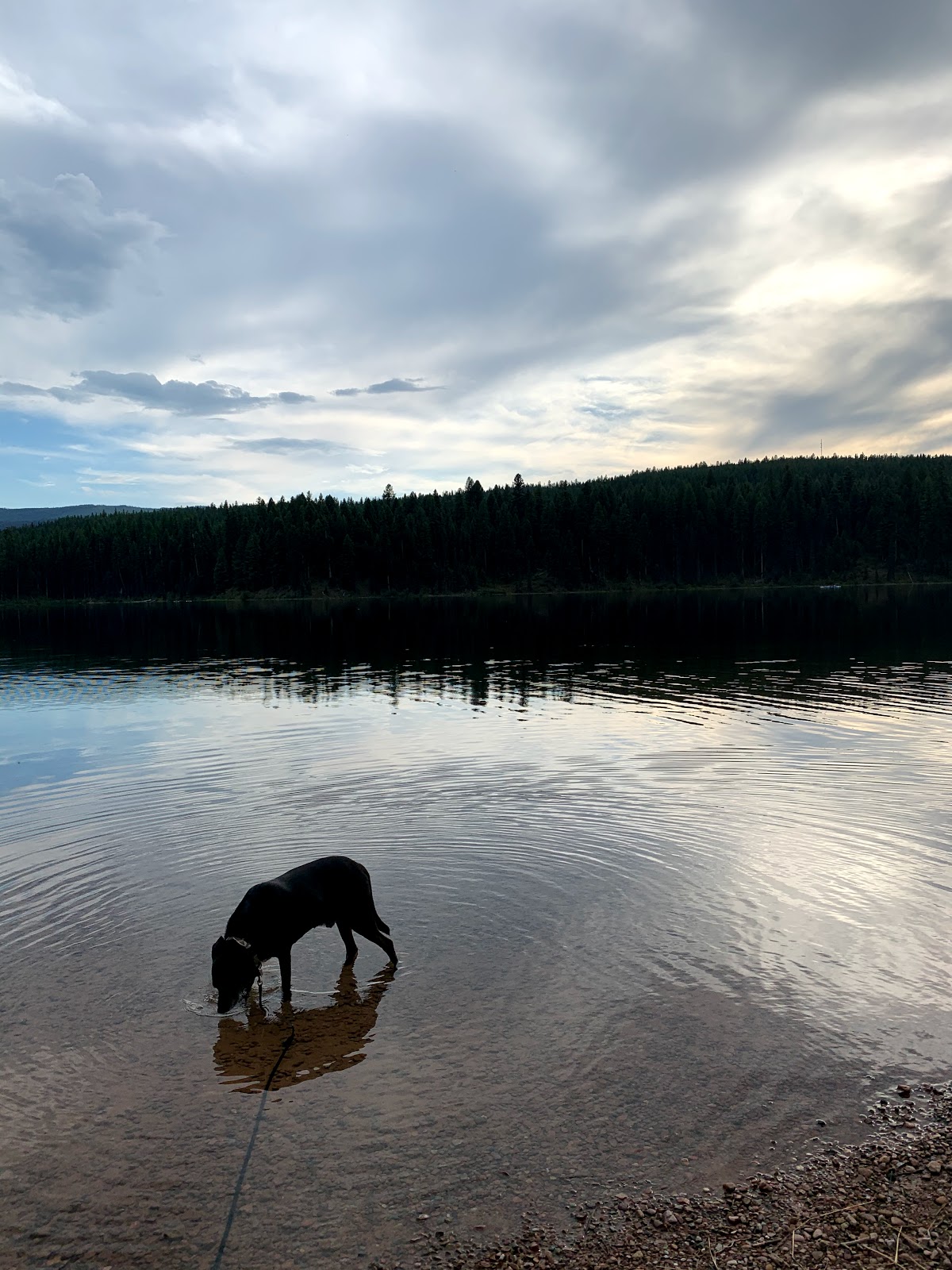 Lake Alva Campground