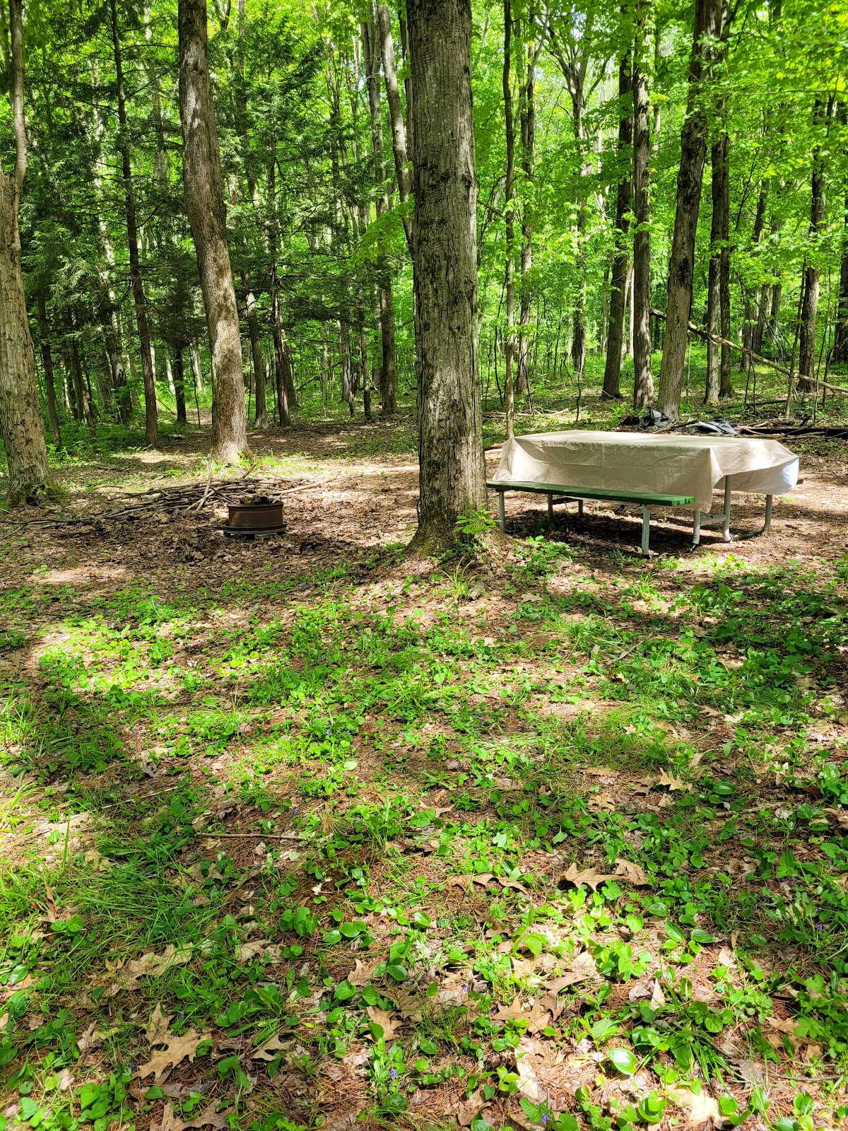 Wildwood Acres Campground