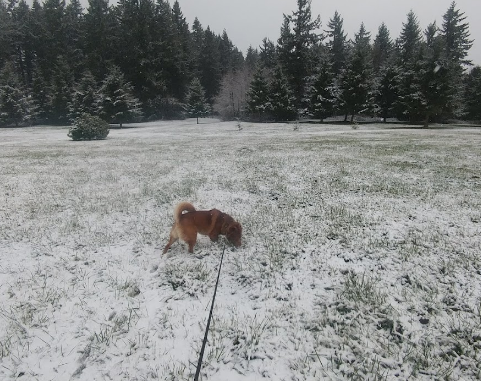 Rainier View RV Park