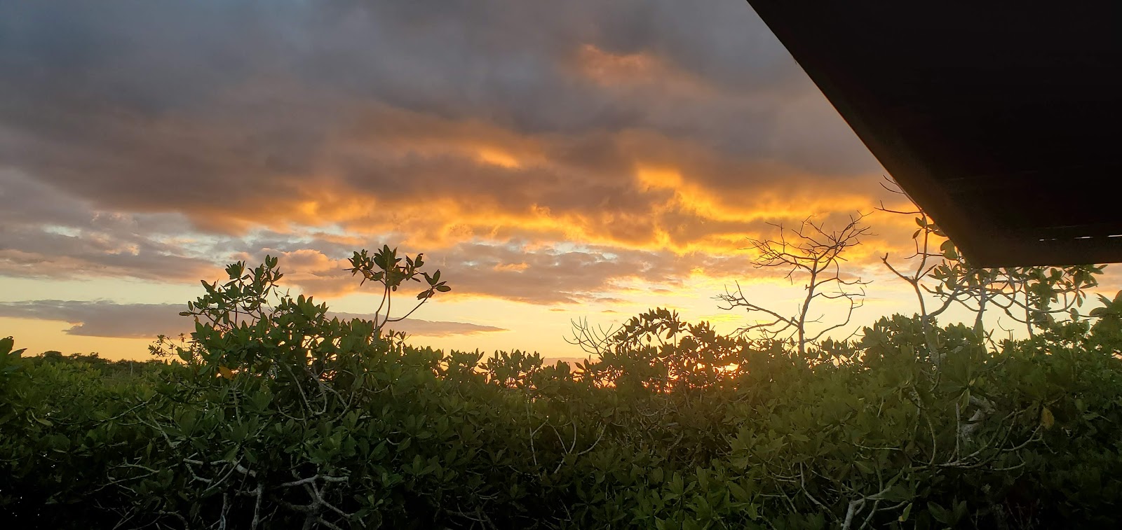 Backcountry North River Chickee - Everglades National Park