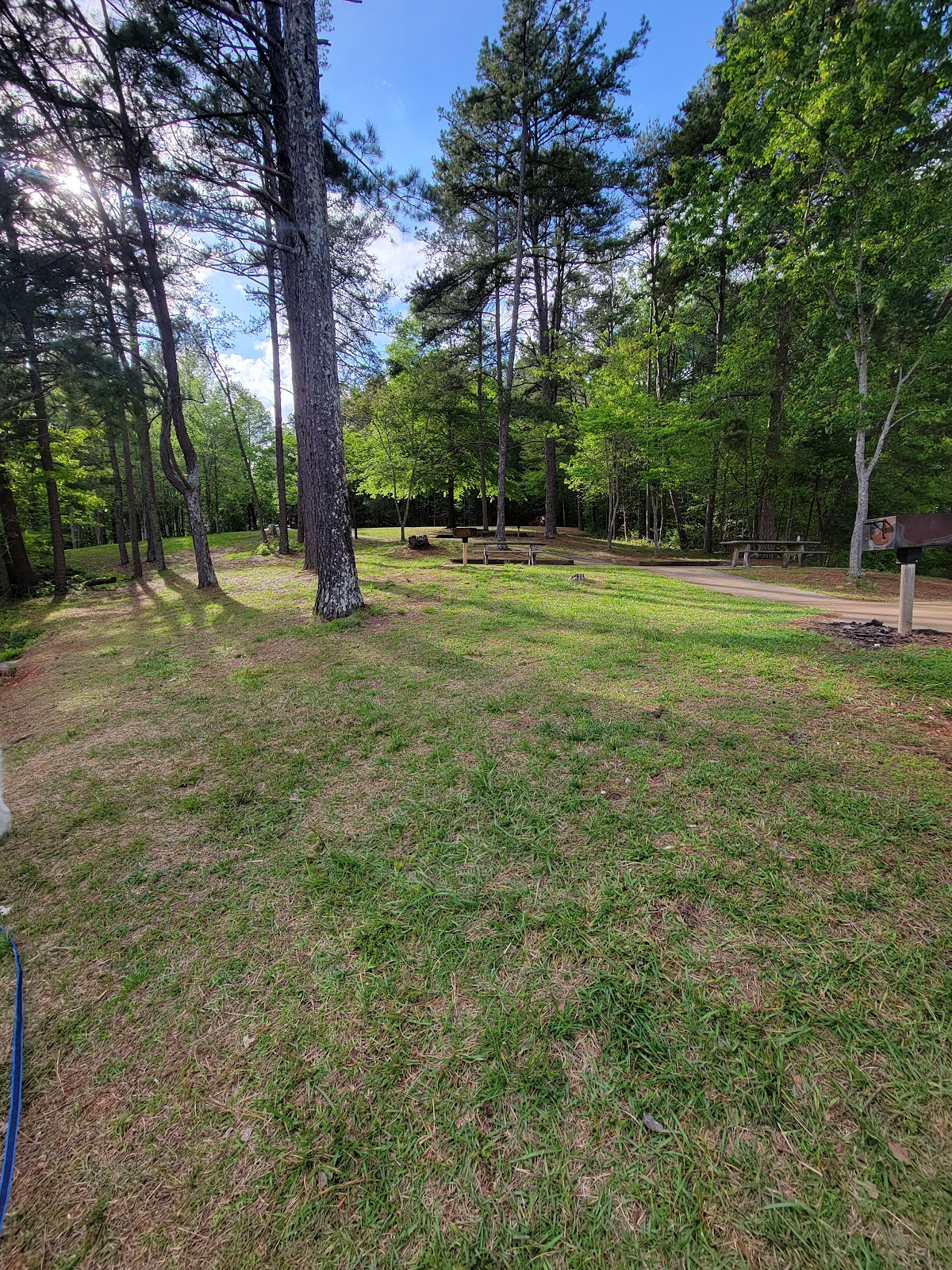 Little Hall Shelter (GA)